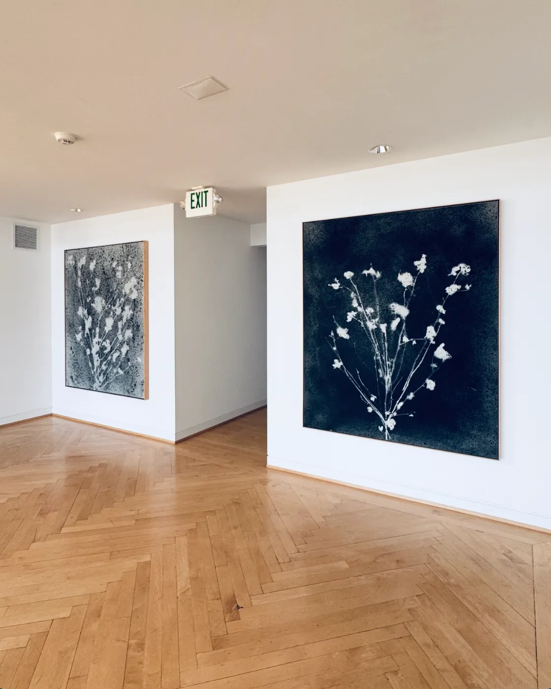 White-walled studio rental with framed botanical prints — a blank canvas for sets and tabletop photography
